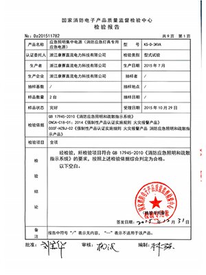 EPS-3KVA检验报告总结