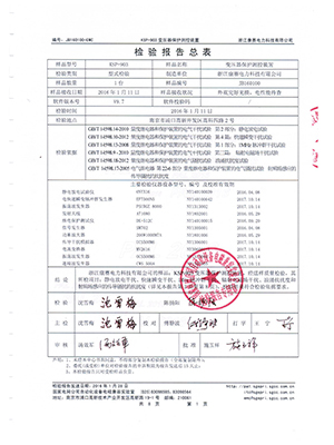 综保检验报告总结3